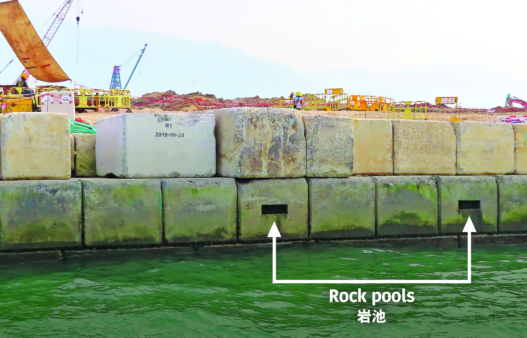 分散铺设于垂直海堤上的环保混凝土块，有助提升海洋生物 多样性（上）﹔岩池仿照布满岩石岸边的天然岩池，具有蓄水作用（下）。